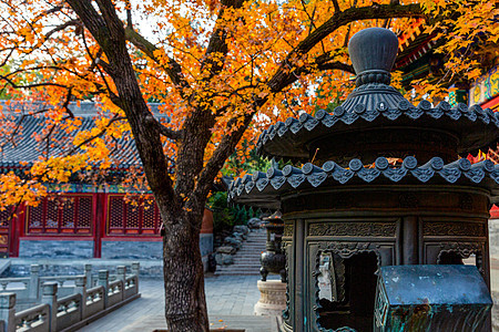 秋天的北京香山公园图片