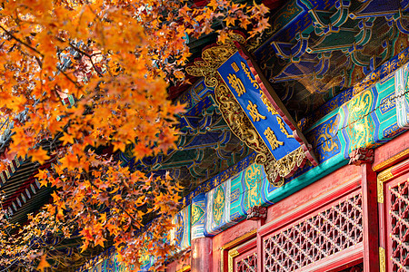 秋天的北京香山公园古建筑图片
