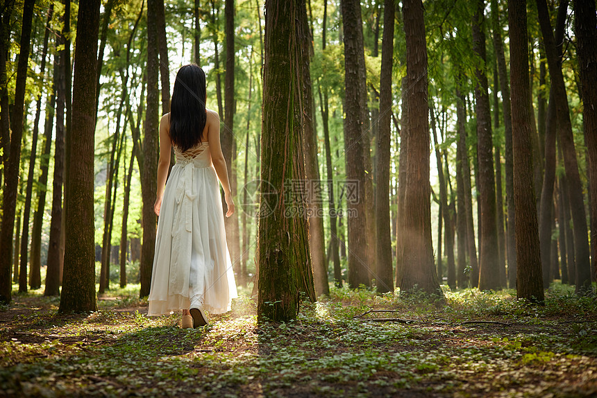 树林里的青年美女背影图片