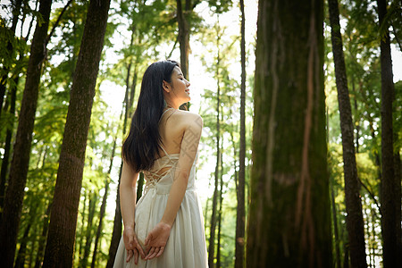 家人背影树林里的美女背影背景