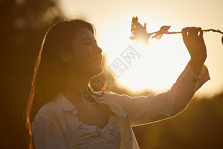 阳光下拿着花的美女剪影图片