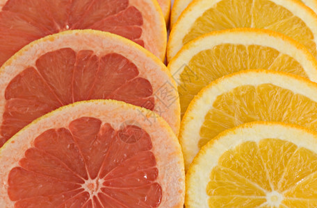 橙子和葡萄柚片图片