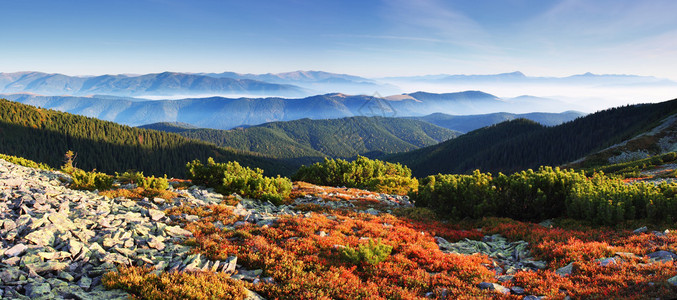 新中式山水山水五彩秋景背景