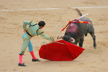 照片来自Corrida在疯狂的图片