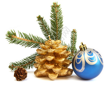 金松锥蓝色黄瓜和一棵圣诞树的枝子图片