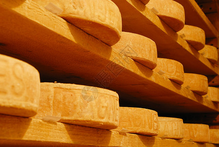 在地窖中精炼的山区奶酪图片