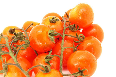 Tomate樱桃ensurama图片