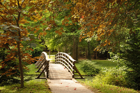 园景公园内的木桥图片