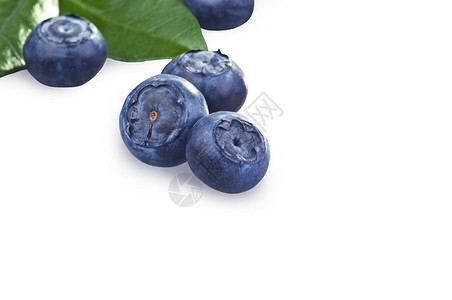 蓝莓关闭在白色背景上图片