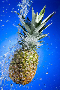 蓝色背景上溅水的菠萝图片