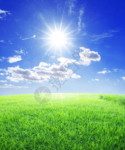 草太阳和蓝天图片