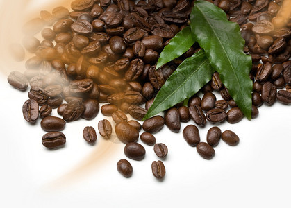 白色背景上的咖啡粒和叶子图片