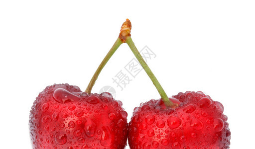 两个红樱桃一个白色的背景图片