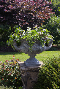 在英语风格的花园里用树叶在柱子上雕塑图片