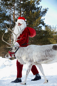 圣诞老人带着驯鹿图片