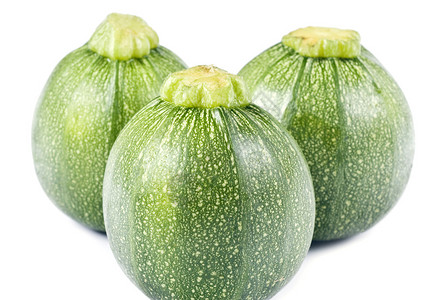 全球Zucchini图片