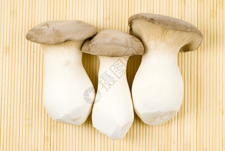 牡蛎王蘑菇图片