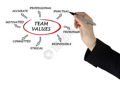 团队价值观和规范图片
