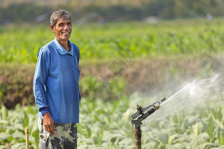 泰国亚裔农民在给种植园浇水的烟田图片