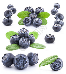 白背景上隔离的蓝莓收集图Bluem图片