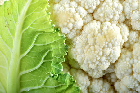 CauliflowerCloseup水平摄影图片