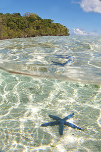 绿松石热带波利尼西亚天堂海滩洋水晶清图片