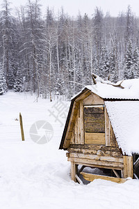 在一个小农场的雪地里的鸡舍图片