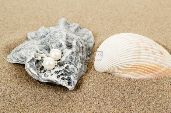 沙子背景上的两个珍珠耳环和贝壳图片