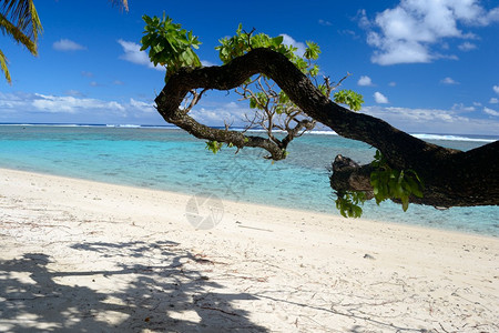 拉罗汤加岛库克群岛太平洋美丽图片