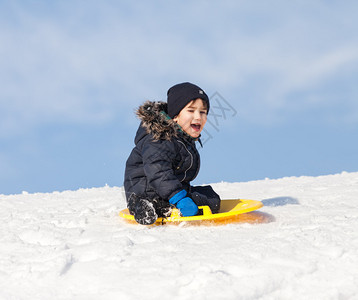 雪橇上的男孩冬天的雪橇图片