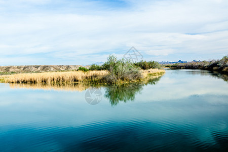 哈瓦苏湖野生动物保护区莫哈韦沙漠南科罗拉多河沿岸Mojave沙图片