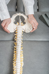 由男物理治疗师对训练塑料脊柱和女患者进行的手动物理和图片