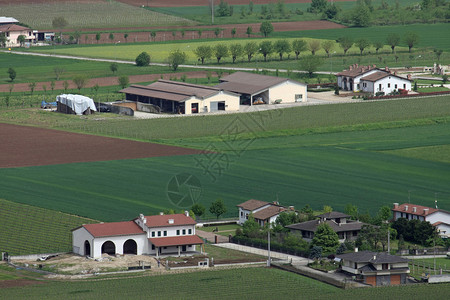 与公民们一起在Veneto和民房田地和农场里建了比图片