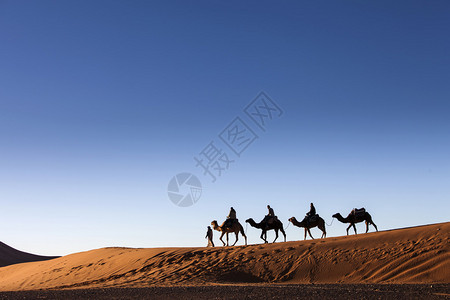 沙漠骆驼骑图片