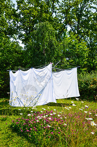 在花木繁茂的花园里晾晒白色衣物图片