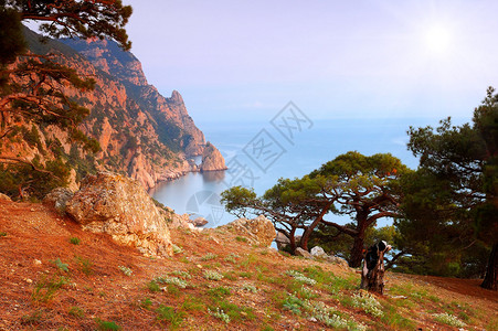 阳光明媚的夏日风景山林和海景图片