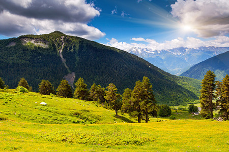 高山草甸的美丽景色图片