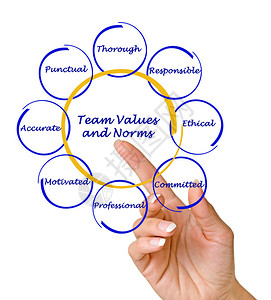 团队价值观和规范图片