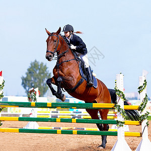 马术运动克服障碍骑马的女运动员一匹红马上的女骑士马术骑马赛马背景图片