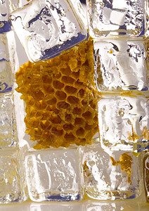 冷蜂蜜梳图片