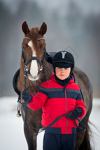 马和骑师小男孩和小马图片