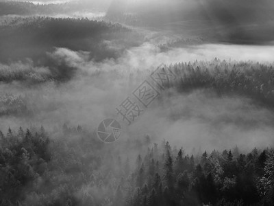 察看萨克森的瑞士深雾谷图片