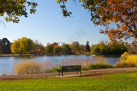 湖边空的长椅和树华盛顿公园科图片