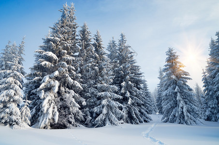 吉林雾凇冬季山林的雪轨喀尔巴阡山脉背景