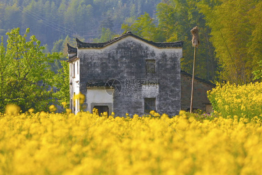 婺源田园风光图片