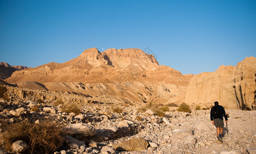在靠近死海的朱德沙漠图片
