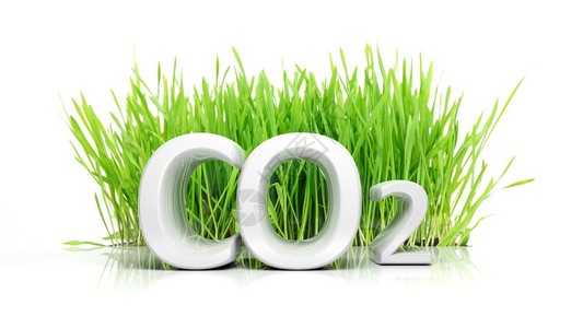 孤立的绿色草和CO23D图片