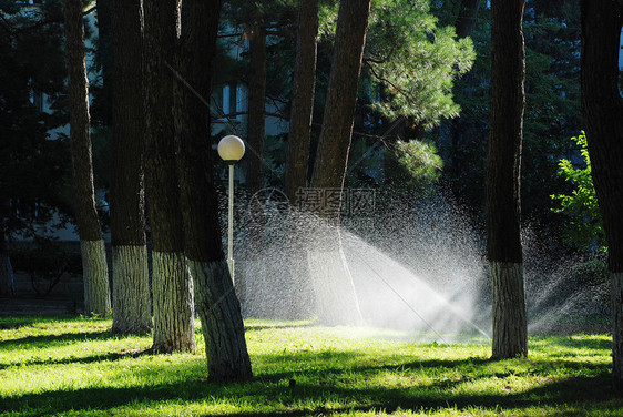 城市广场Sprinkler系统正图片