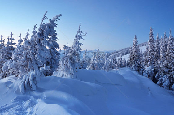 山林中有雪飘动图片