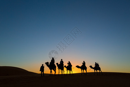 穿过沙漠的骆驼商队图片